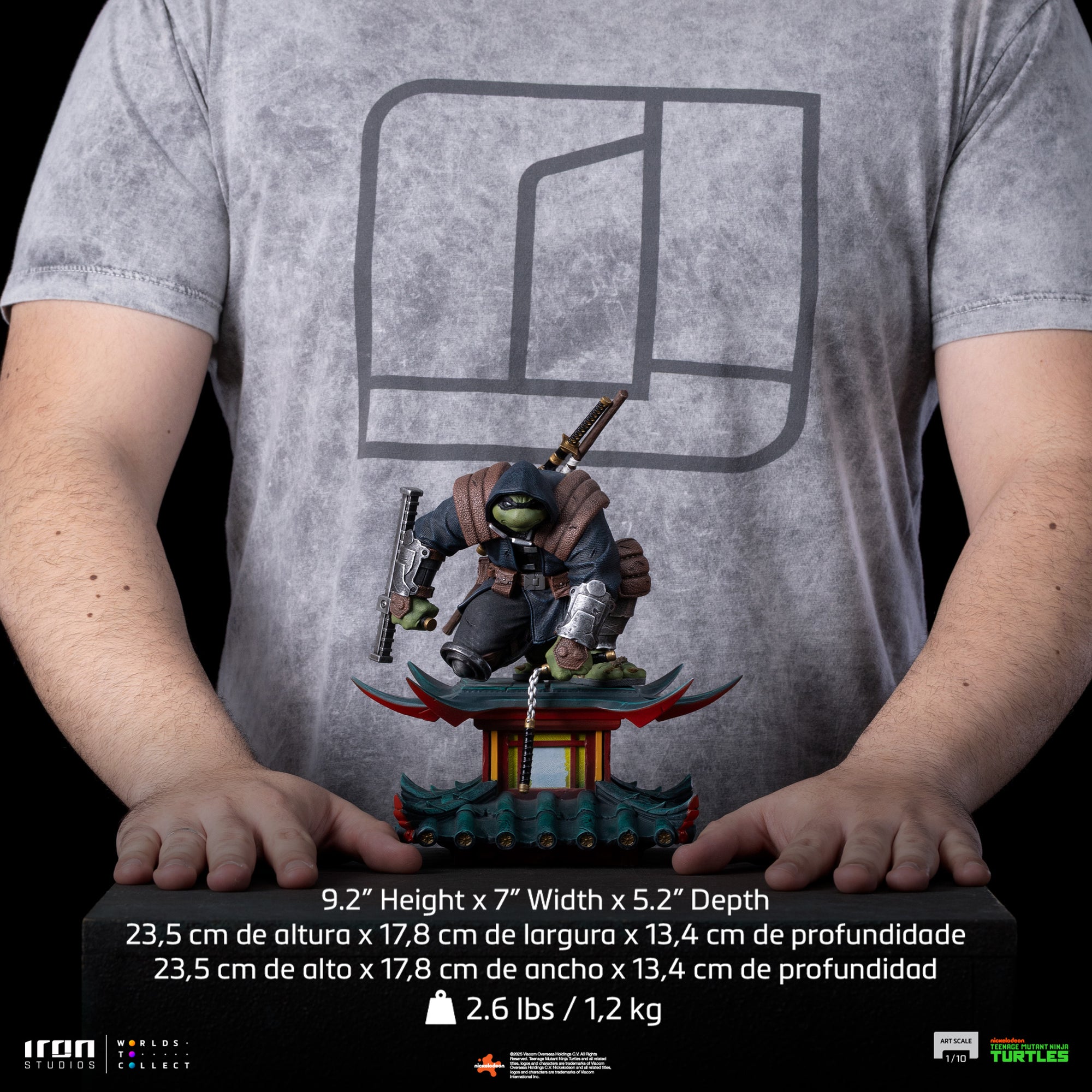 The Last Ronin - TMNT - Art Scale 1/10
