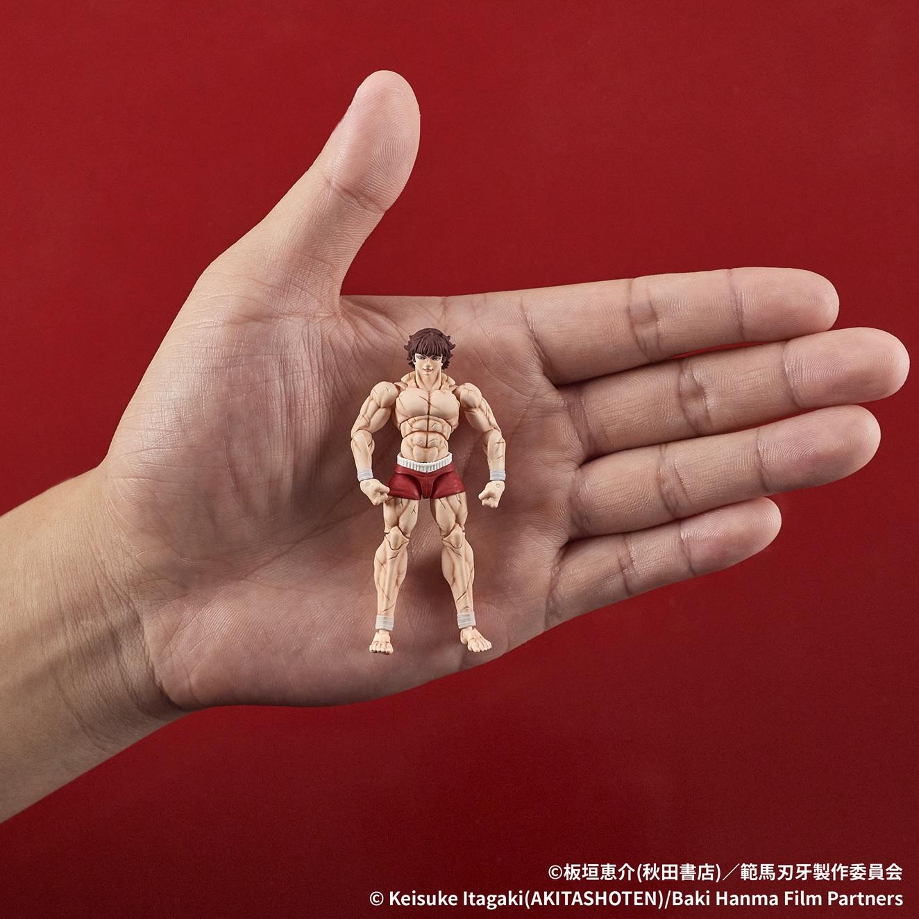 Baki Hanma Digaction Size Comparison Hand Scale