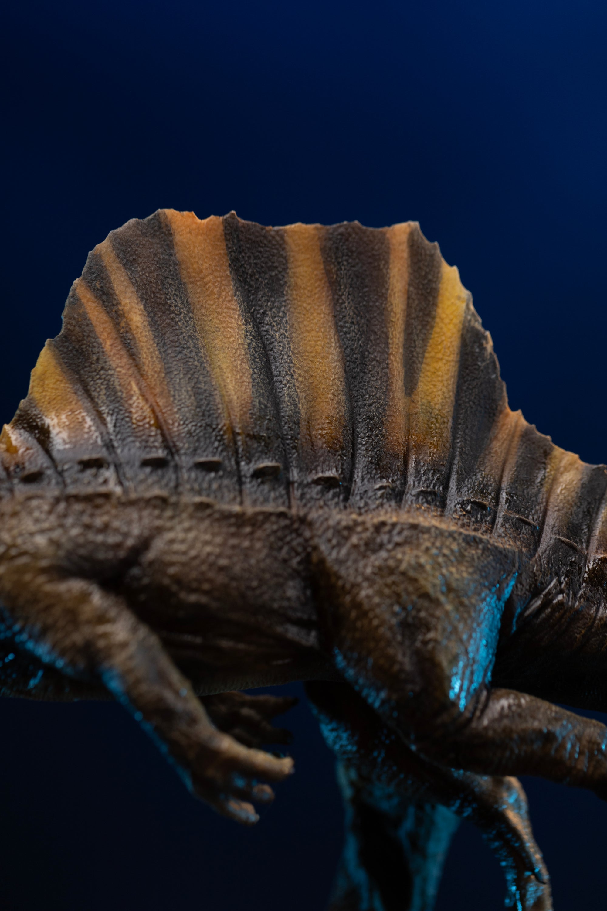 Detail of Spinosaurus dorsal sail featuring yellow and brown striped pattern and scute scales
