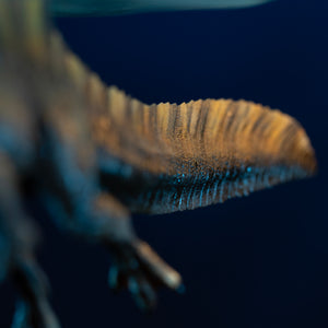 Close-up detail of Spinosaurus flattened paddle-like tail structure designed for swimming