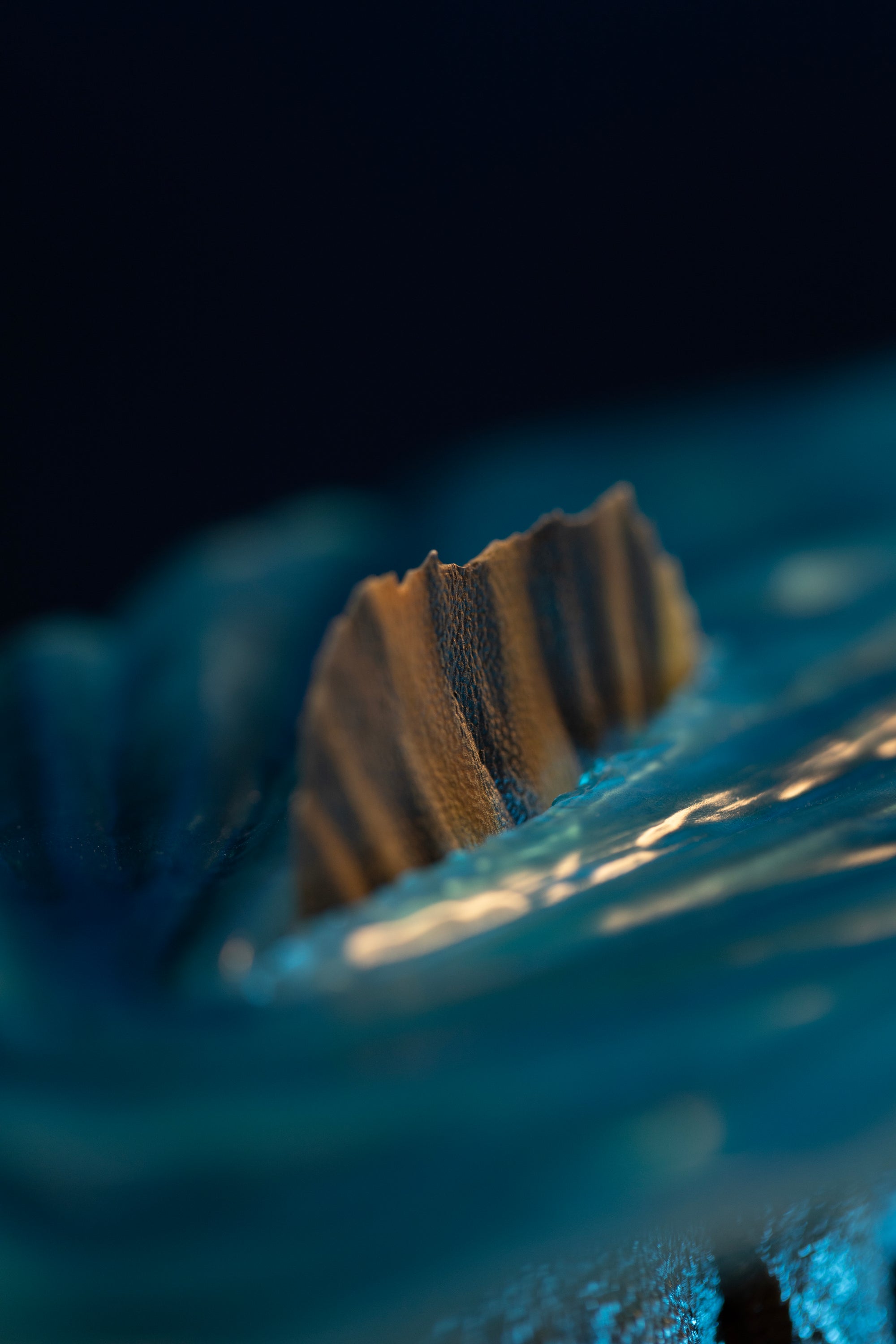 Detail view of Spinosaurus dorsal sail breaking through translucent blue water surface effect