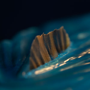 Detail view of Spinosaurus dorsal sail breaking through translucent blue water surface effect