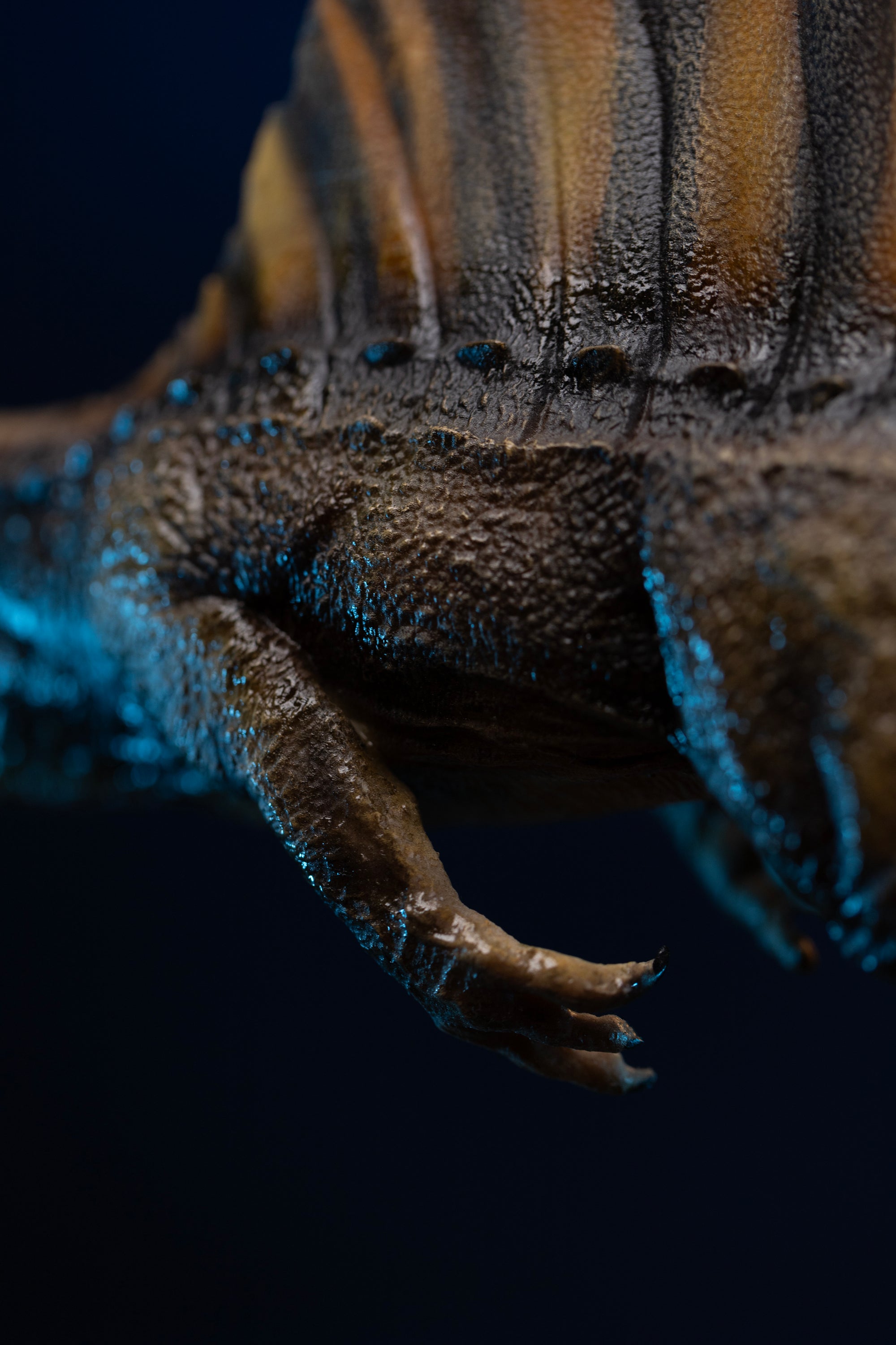 Macro close-up of Spinosaurus textured reptilian skin, forelimb claw, and dorsal sail base