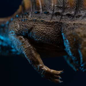 Macro close-up of Spinosaurus textured reptilian skin, forelimb claw, and dorsal sail base
