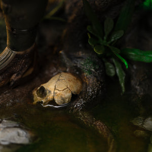 Detail of Iron Studios Predator Jungle Hunter 1/10 statue diorama base featuring a submerged human skull